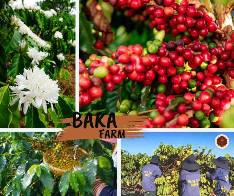 pink photo collage happy mother's day facebook post (3) (1)