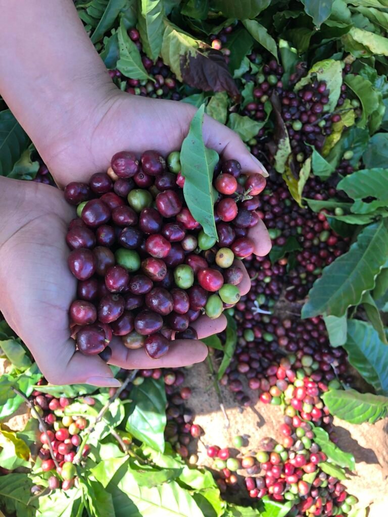 z3013048580864 450d883e17121e94df274222a04c1c7d