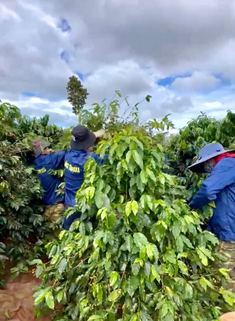 z7055900557846 f975db0fcbed912df266a64ddf120d32