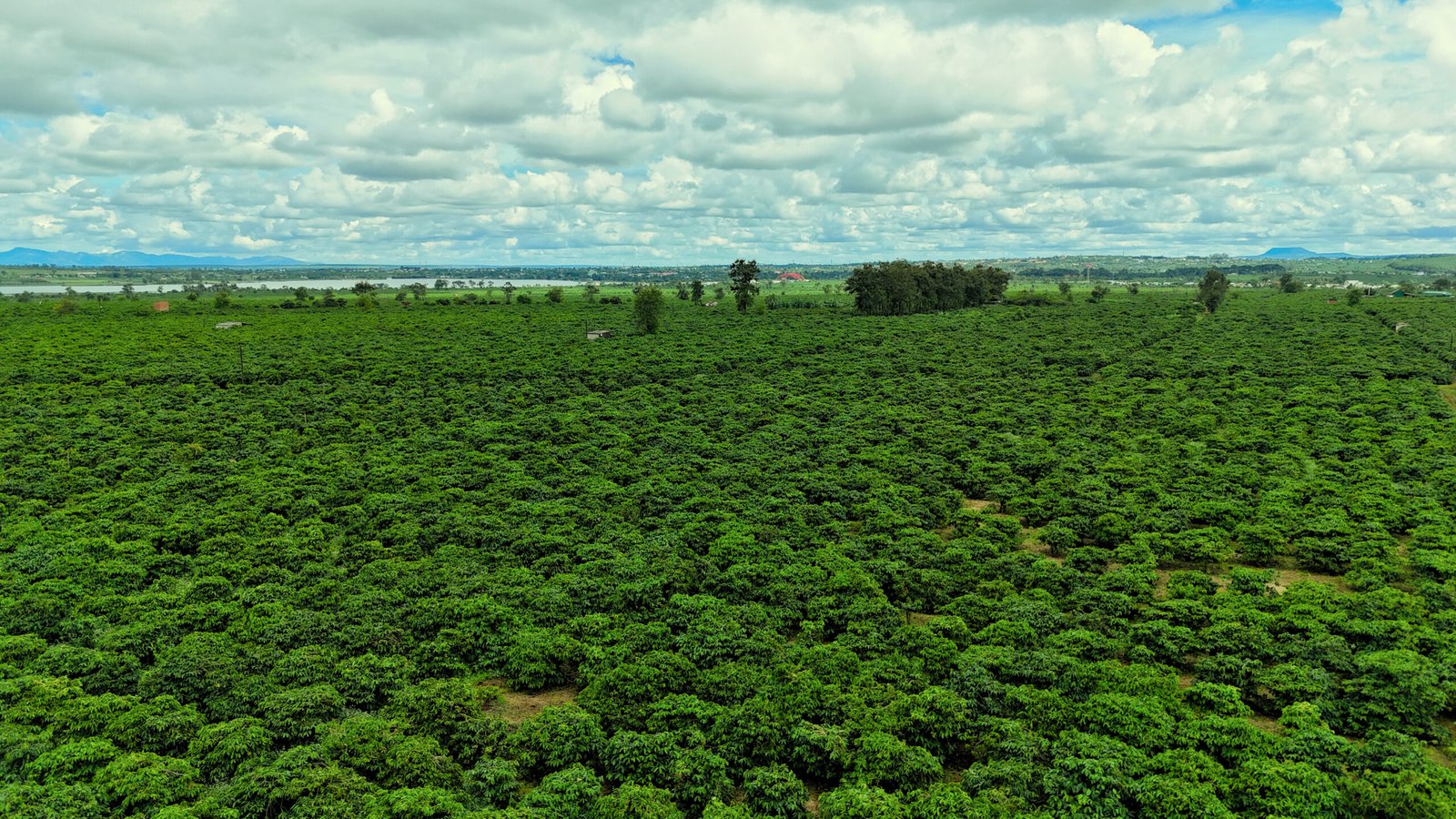 0e13f14f d83a 4418 9868 14061e91ab86