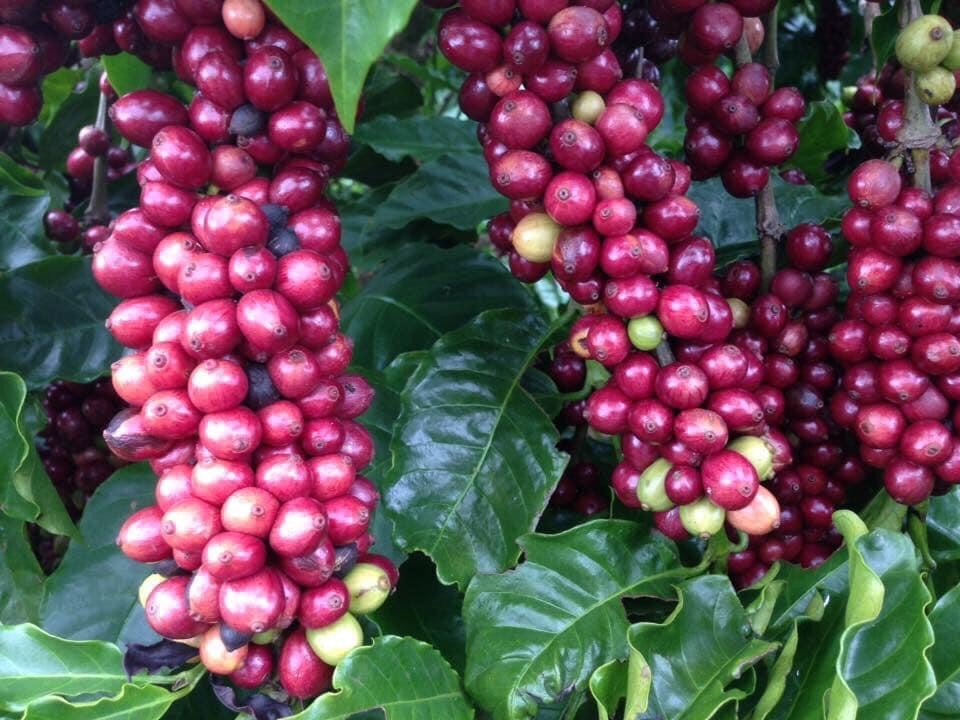 z2525447783301 d5a15657b0d9ba5b010446482b66538d