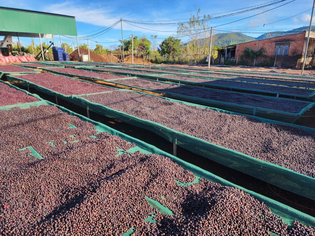 z7180488965540 9d47f6e7a05cc2746774aa4015e5a6ba