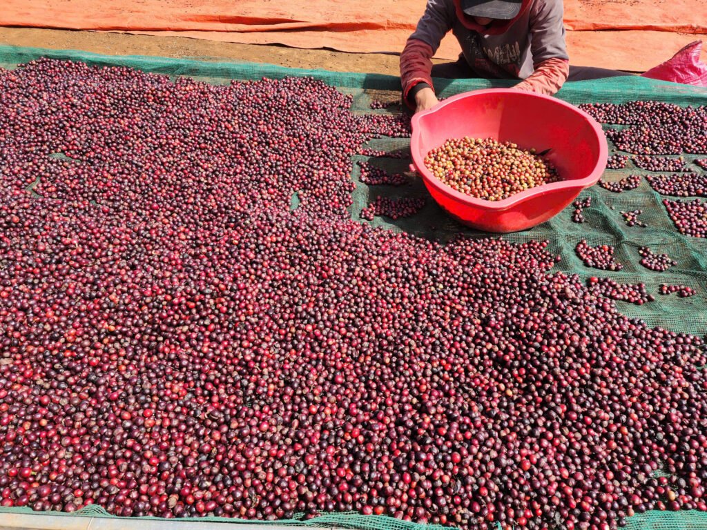 z7180488972030 202a8c6fde3a03f13993da631497d39d