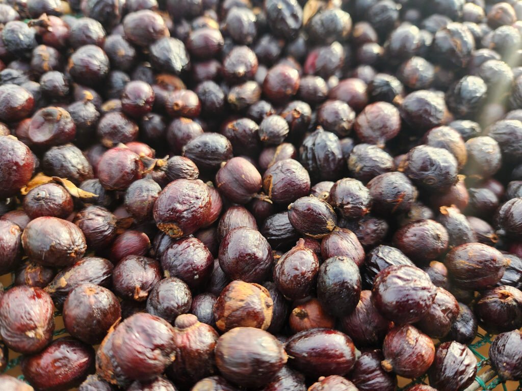 z7180488994890 ed840e212cea09bb8db5b059f7b01d86