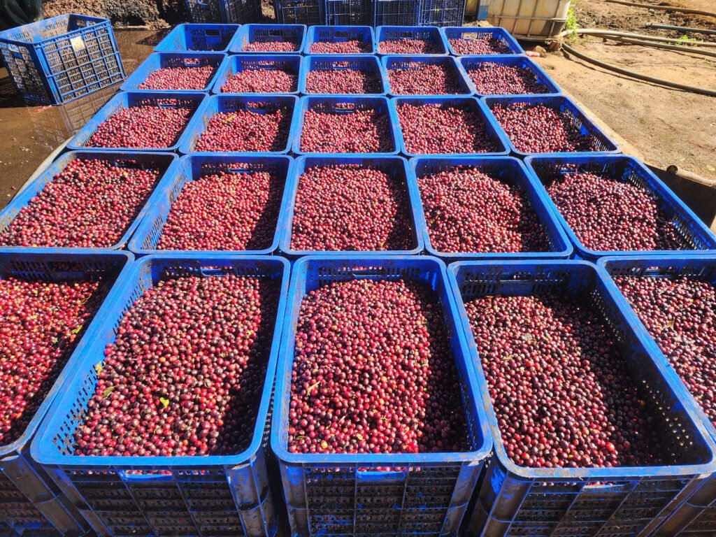 z7180489025657 7711edf3946152cdd68544a3558a6302